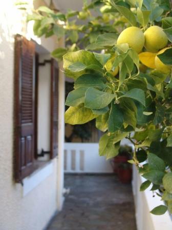 Artistica Villa Ермиони Екстериор снимка